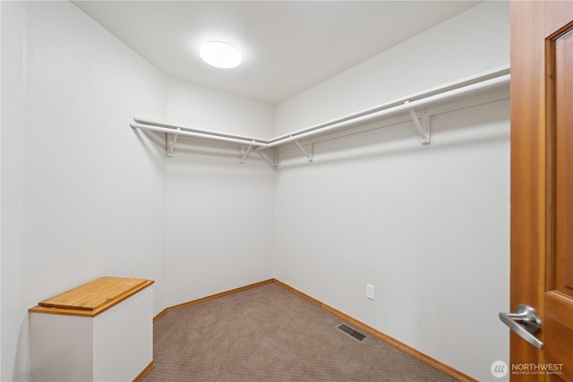 29729 NE 178th Pl, Duvall, WA 98019 - photo 31