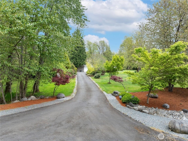 26217 137th Street Ct E, Buckley, WA 98321 - view of road with aphalt driveway