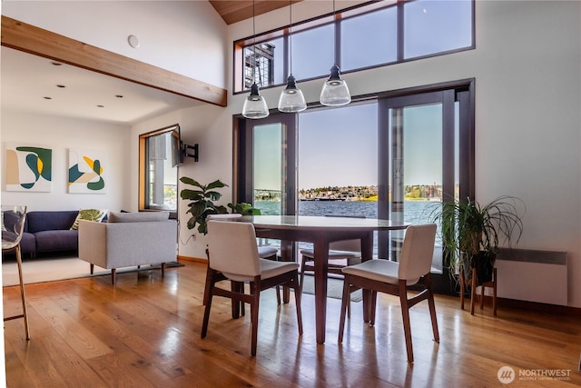 dining room featuring radiator, a high ceiling, a wealth of natural light, and wood finished floors
