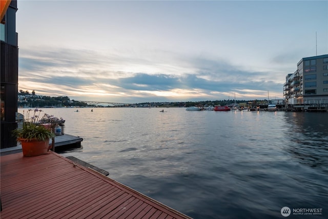 2235 Fairview Ave E Unit 12, Seattle, WA 98102 - dock area featuring a water view