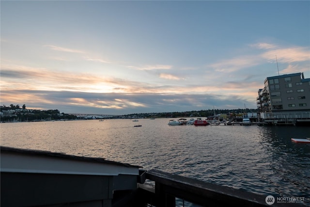 2235 Fairview Ave E Unit 12, Seattle, WA 98102 - water view