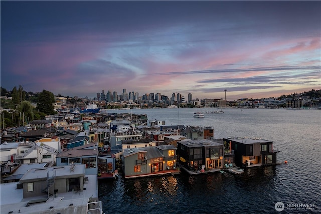 2235 Fairview Ave E Unit 12, Seattle, WA 98102 - dock featuring a water view and a skyline view