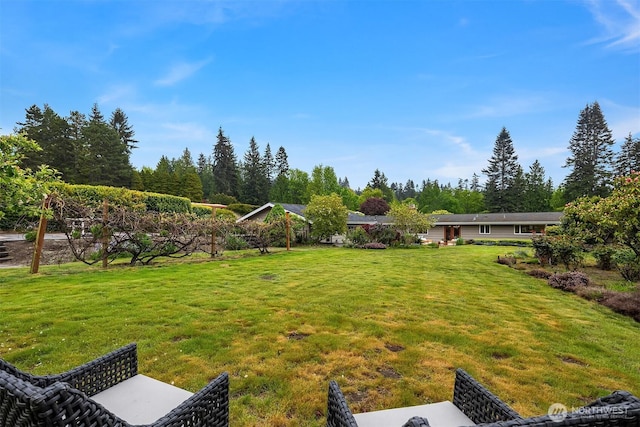 view of yard