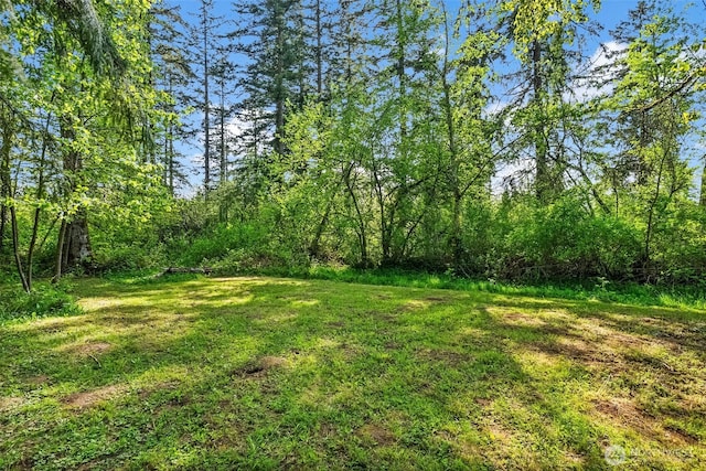 view of yard with a forest view
