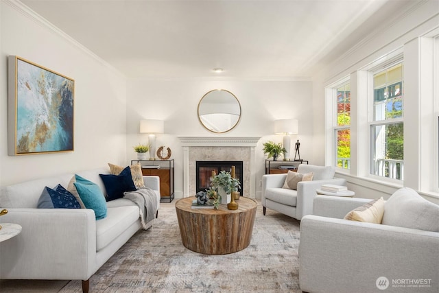 living area with crown molding and a premium fireplace