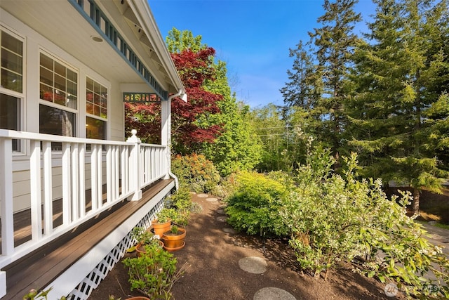 view of yard with covered porch