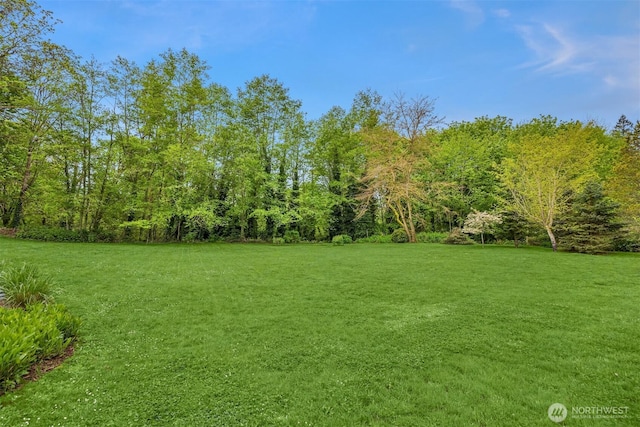 view of yard featuring a forest view
