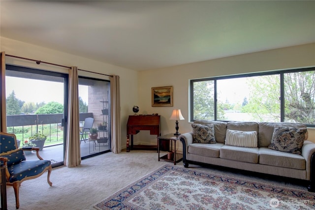 living room with light colored carpet