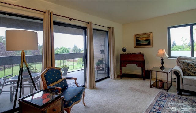 sitting room with carpet floors