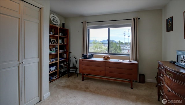 interior space with light colored carpet