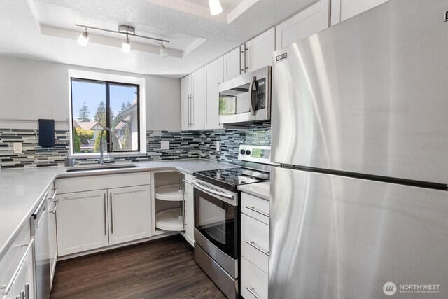 kitchen featuring a sink, a textured ceiling, stainless steel appliances, decorative backsplash, and a tray ceiling