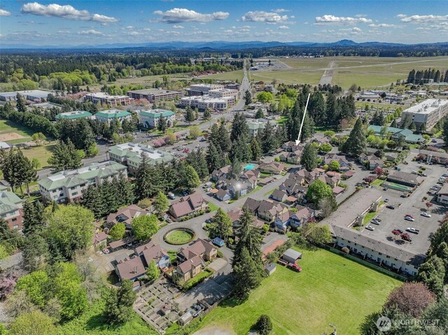 aerial view