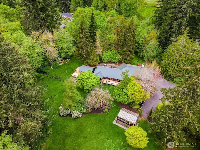 bird's eye view