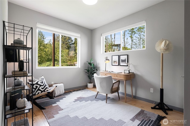 office with baseboards and wood finished floors