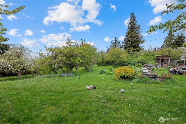 view of yard