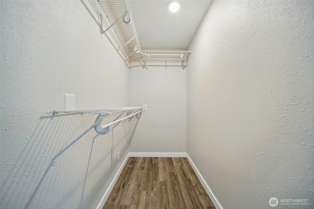 spacious closet featuring wood finished floors