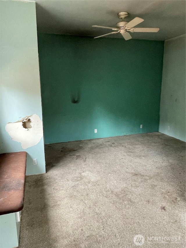empty room featuring carpet and a ceiling fan