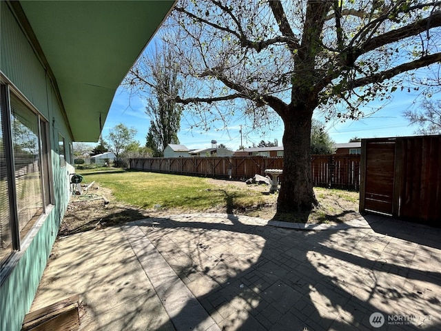 view of yard featuring a patio area and a fenced backyard