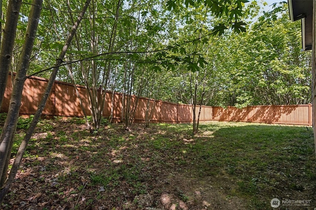 view of yard
