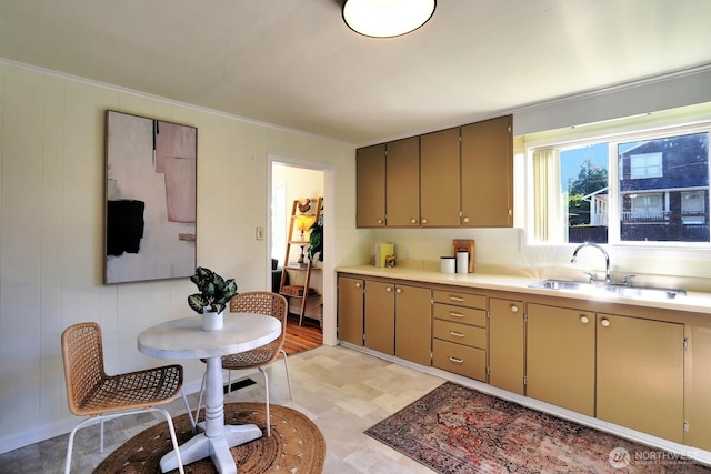 4802 S Austin St, Seattle, WA 98118 - kitchen featuring a sink, light flooring, light countertops, and ornamental molding