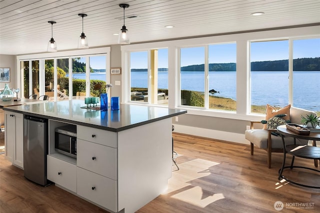 13967 SW 248th St, Vashon, WA 98070 - kitchen with stainless steel microwave, dark countertops, a wealth of natural light, and refrigerator