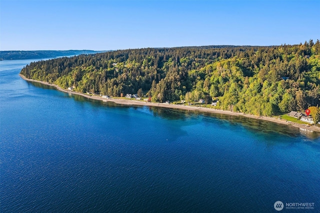 13967 SW 248th St, Vashon, WA 98070 - birds eye view of property featuring a water view and a forest view