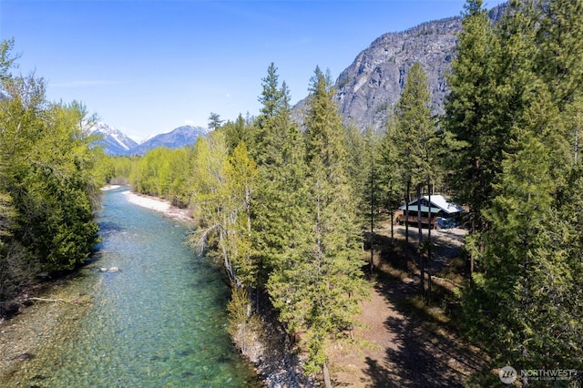 225C Lost River Rd, Mazama, WA 98833 - water view with a mountain view and a forest view