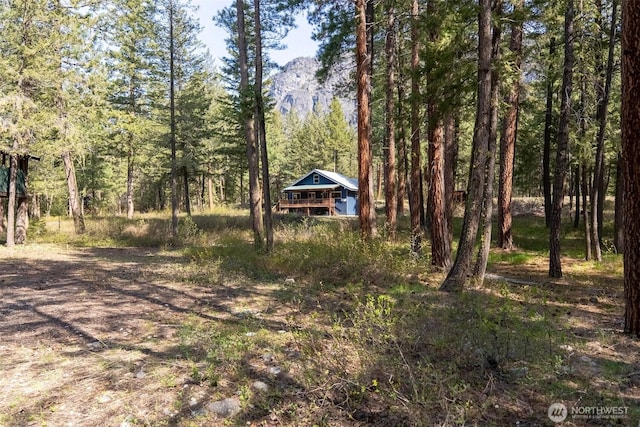 225C Lost River Rd, Mazama, WA 98833 - view of yard featuring a mountain view and a forest view