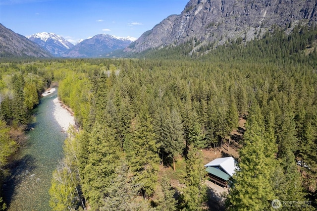 225C Lost River Rd, Mazama, WA 98833 - view of mountain backdrop featuring a heavily wooded area