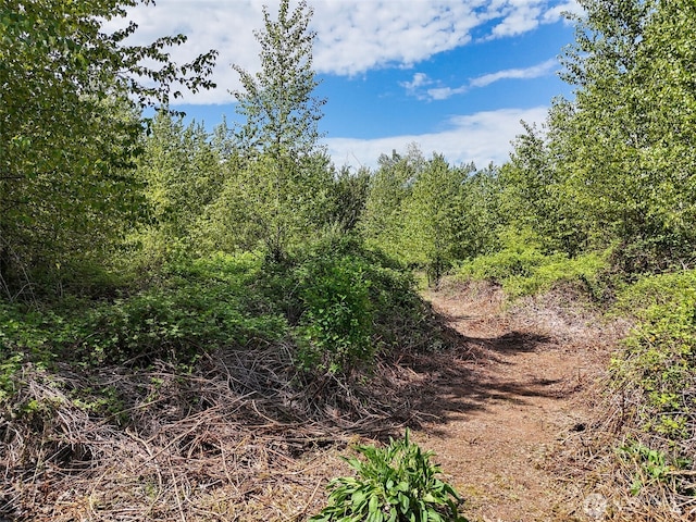 2260622610 State Route 410 E, Bonney Lake, WA 98391 - photo 18