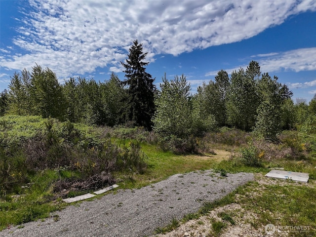 2260622610 State Route 410 E, Bonney Lake, WA 98391 - photo 21