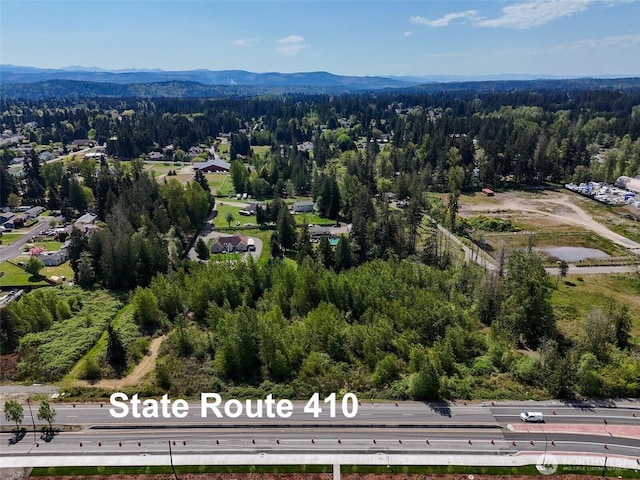 2260622610 State Route 410 E, Bonney Lake, WA 98391 - photo 3
