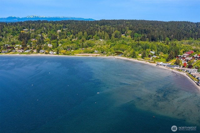 4582 Point White Dr NE, Bainbridge Island, WA 98110 - aerial view of a heavily wooded area and a large body of water
