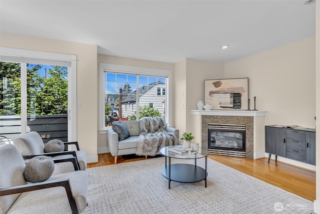 living area featuring baseboards, wood finished floors, and a fireplace