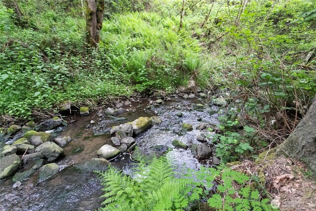 276 Champion Rd, Kalama, WA 98625 - photo 37