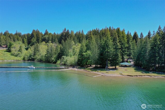 80 N Fircrest Pl, Hoodsport, WA 98548