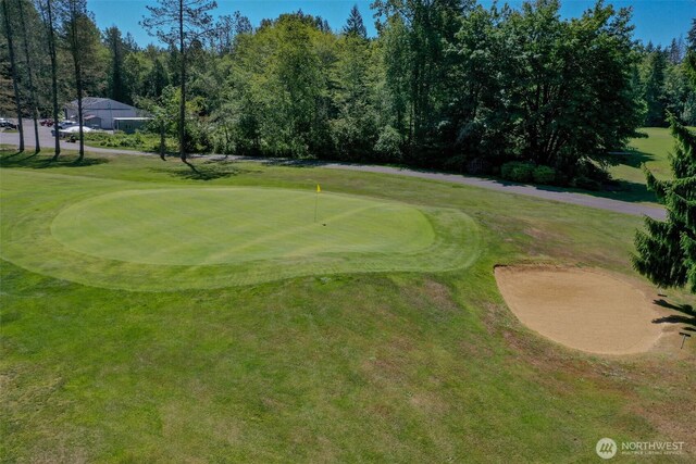 80 N Fircrest Pl, Hoodsport, WA 98548