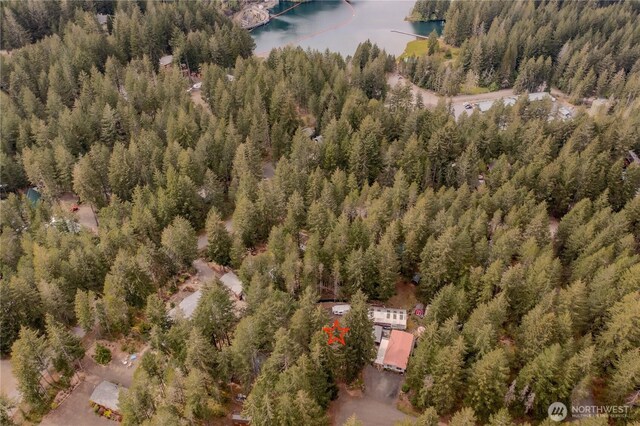 80 N Fircrest Pl, Hoodsport, WA 98548