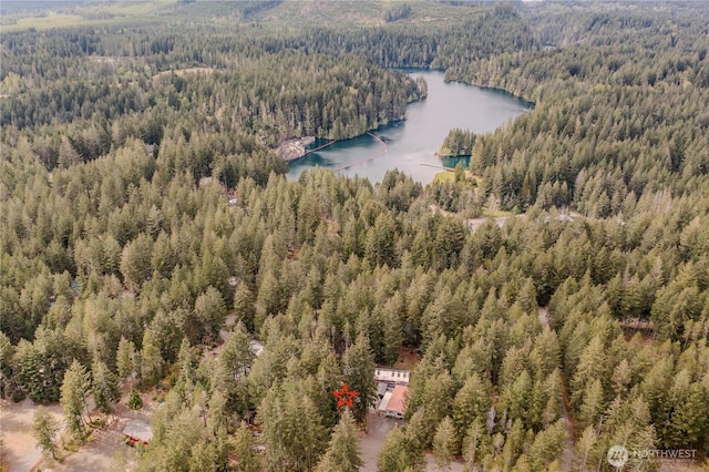 80 N Fircrest Pl, Hoodsport, WA 98548