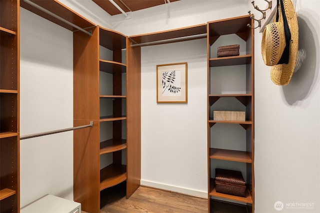 walk in closet with wood finished floors