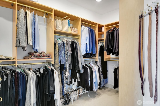 7854 Stroud Ave N, Seattle, WA 98103 - spacious closet with carpet floors