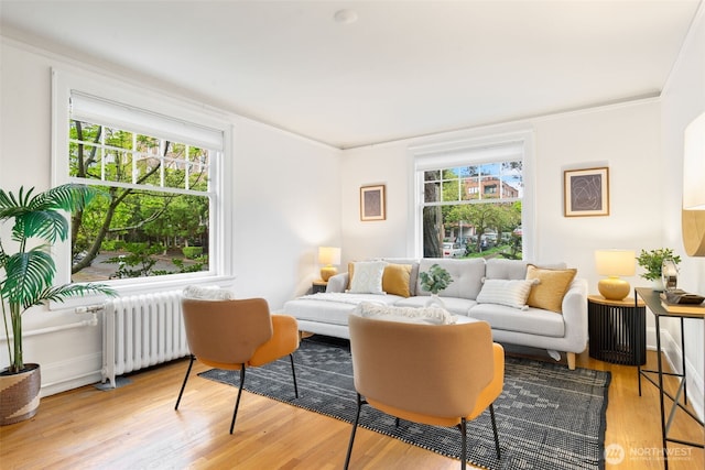 living area featuring crown molding, radiator heating unit, and wood finished floors