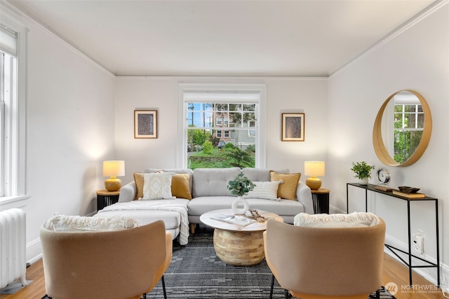 living room featuring radiator heating unit, baseboards, ornamental molding, and wood finished floors