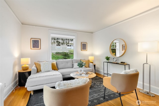 living area featuring crown molding, a healthy amount of sunlight, and light wood finished floors