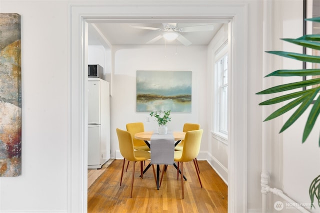 dining room with baseboards, ceiling fan, and wood finished floors