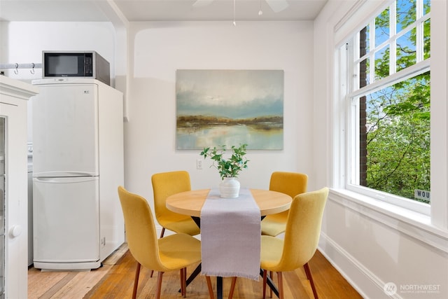 dining area featuring baseboards, light wood-style flooring, ceiling fan, and a healthy amount of sunlight
