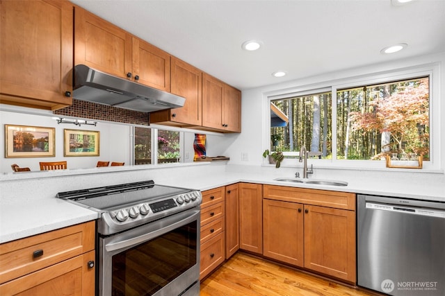 kitchen with a sink, a healthy amount of sunlight, stainless steel appliances, and under cabinet range hood