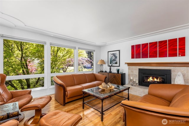 living area featuring a fireplace and wood finished floors