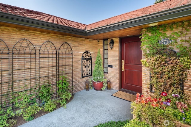 view of exterior entry with brick siding, a tiled roof, and covered porch