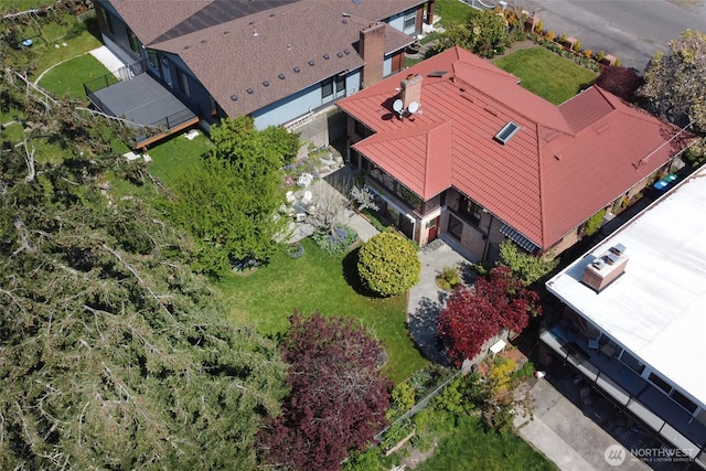 drone / aerial view